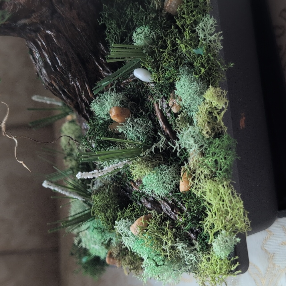 Hand Made Bonsai Tree - Picture 3 of 6